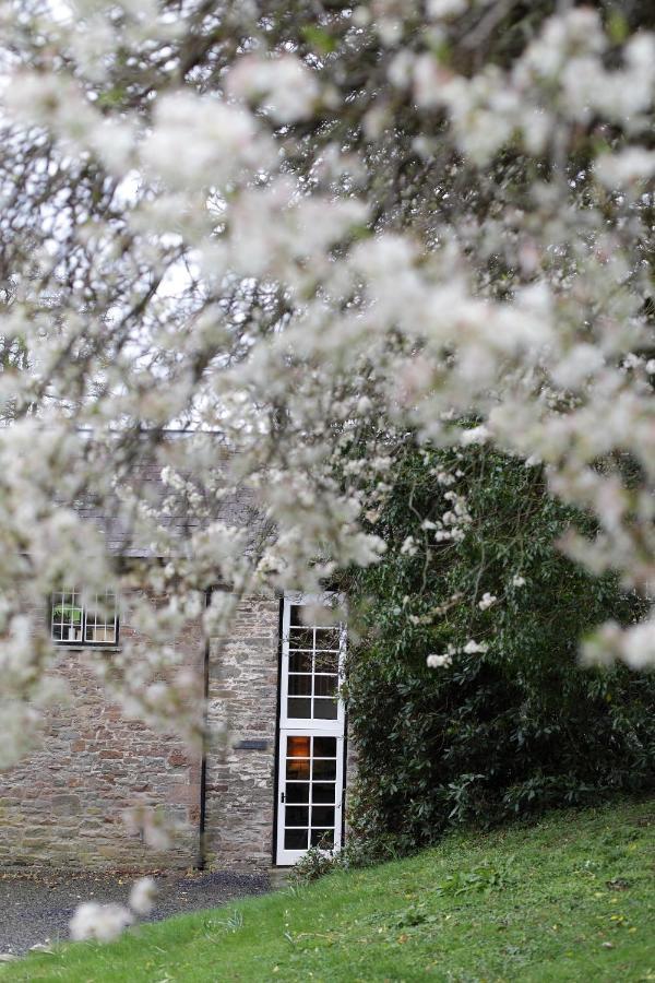 Glanhenwye Courtyard Cottages 글라스버리 외부 사진