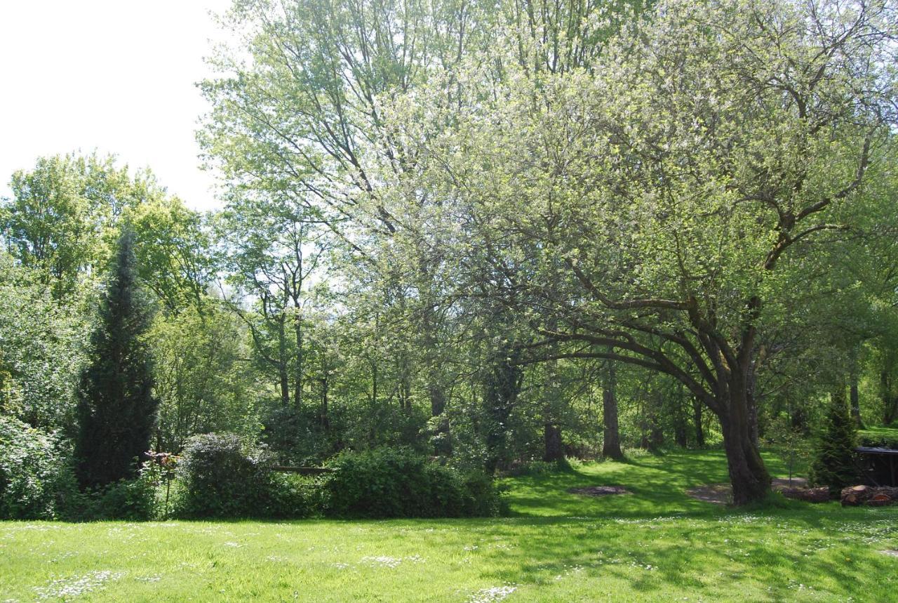 Glanhenwye Courtyard Cottages 글라스버리 외부 사진